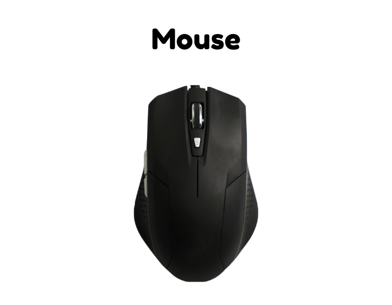 input device - mouse